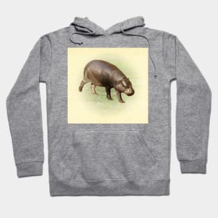 Pygmy hippopotamus Hoodie